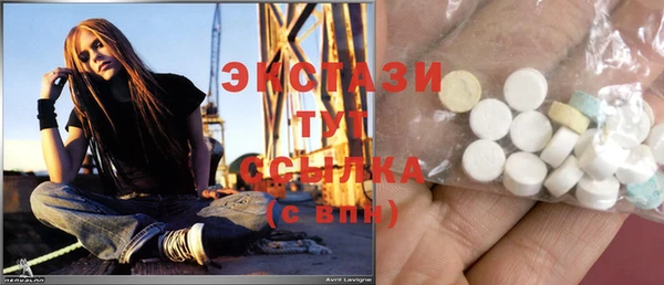ГАЛЛЮЦИНОГЕННЫЕ ГРИБЫ Аркадак